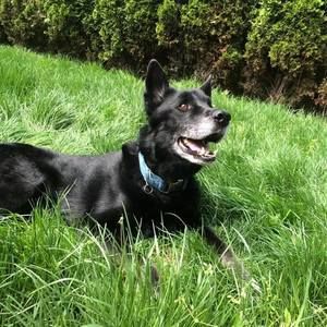 Meet your Posher, Shawn